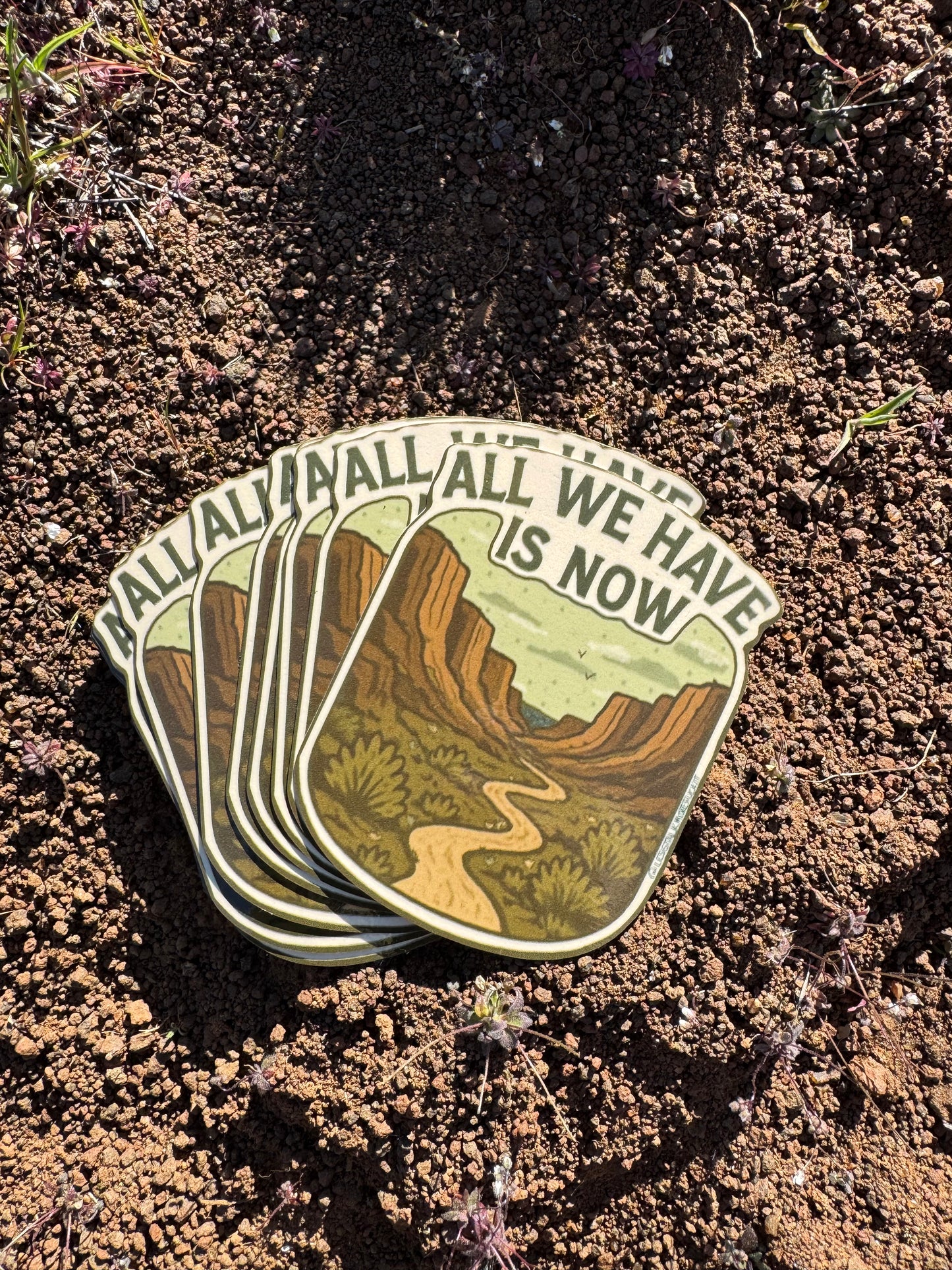 All we have is now.