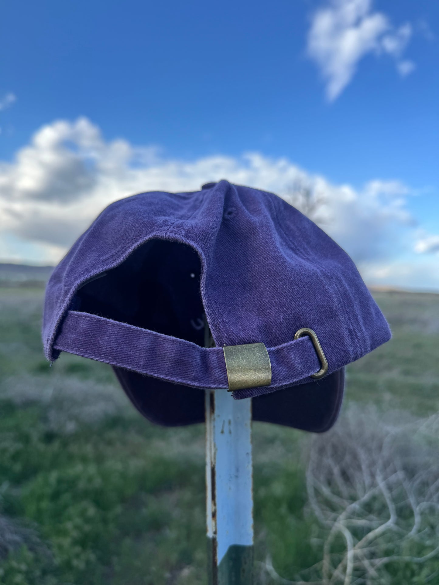 Plum Dad Cap