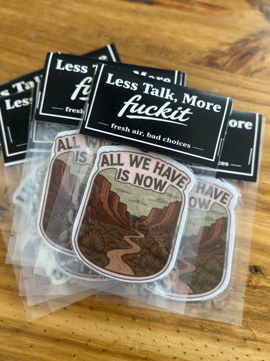 Air Freshie-All We Have Is Now