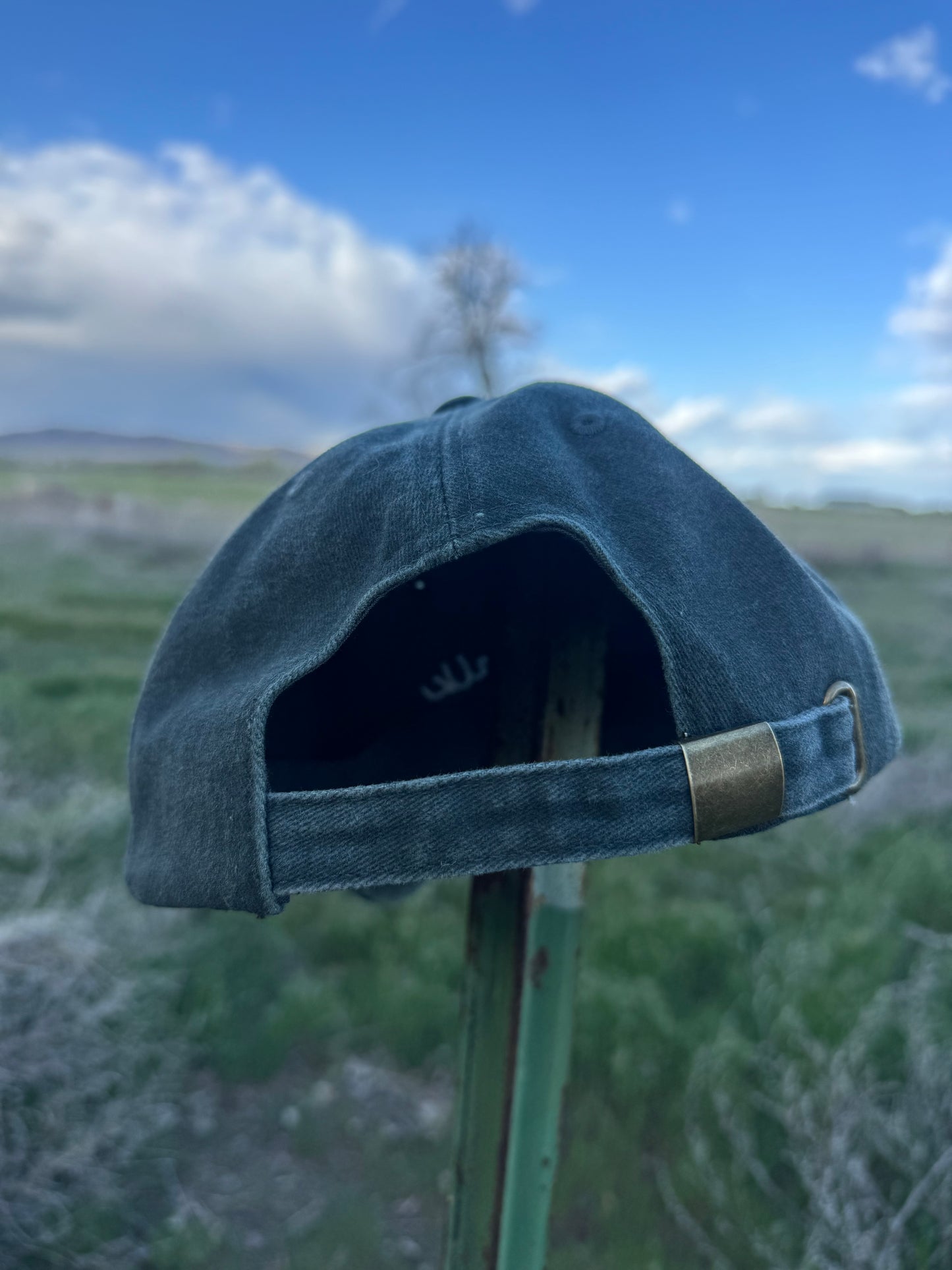 Deep Sage Dad Cap