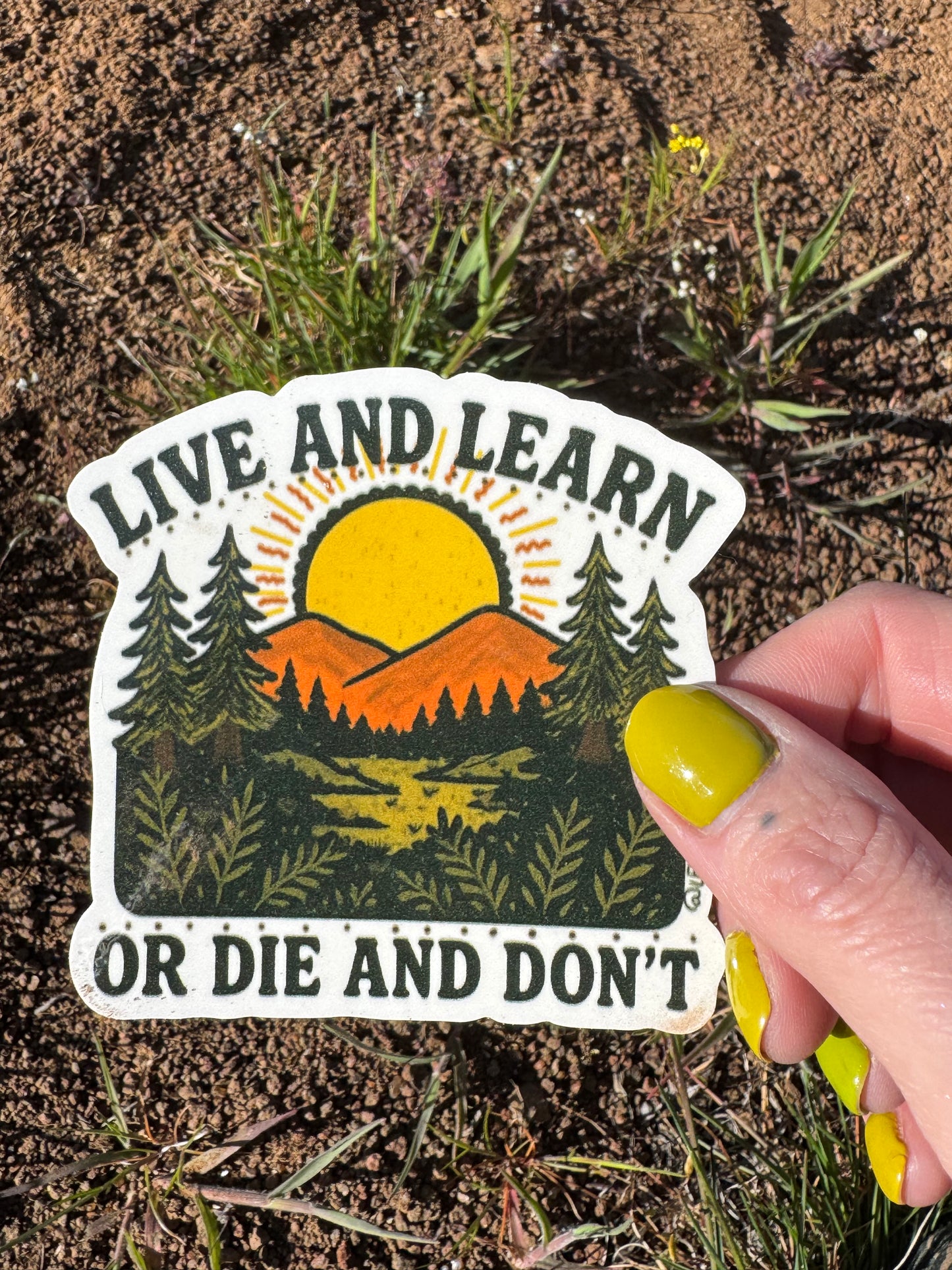 Live & Learn